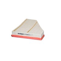 FILTRON AP 003/9 Luftfilter