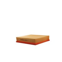 FILTRON AP 004/2 Luftfilter