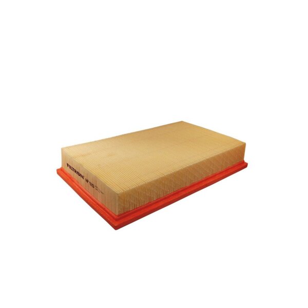 FILTRON AP 010 Luftfilter