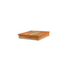FILTRON AP 010/3 Luftfilter