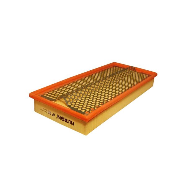 FILTRON AP 011 Luftfilter