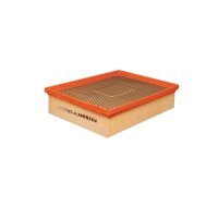 FILTRON AP 020/2 Luftfilter