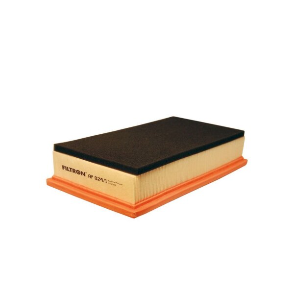 FILTRON AP 024/1 Luftfilter