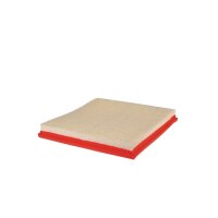 FILTRON AP 030/2 Luftfilter