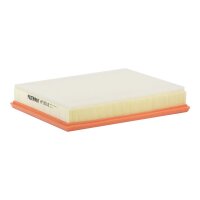 FILTRON AP 051/6 Luftfilter