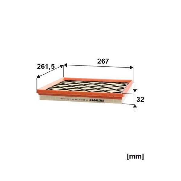 FILTRON AP 051/7 Luftfilter