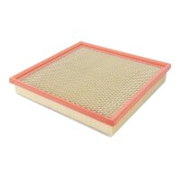 FILTRON AP 051/9 Luftfilter