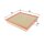 FILTRON AP 051/9 Luftfilter