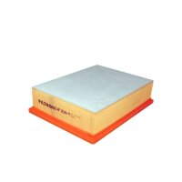 FILTRON AP 058/4 Luftfilter