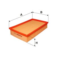 FILTRON AP 060 Luftfilter
