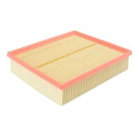 FILTRON AP 063/1 Luftfilter