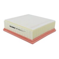 FILTRON AP 072/4 Luftfilter