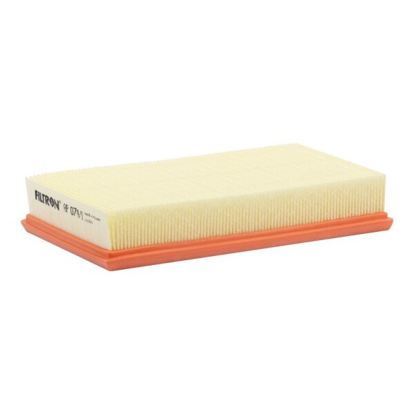 FILTRON AP 074/1 Luftfilter