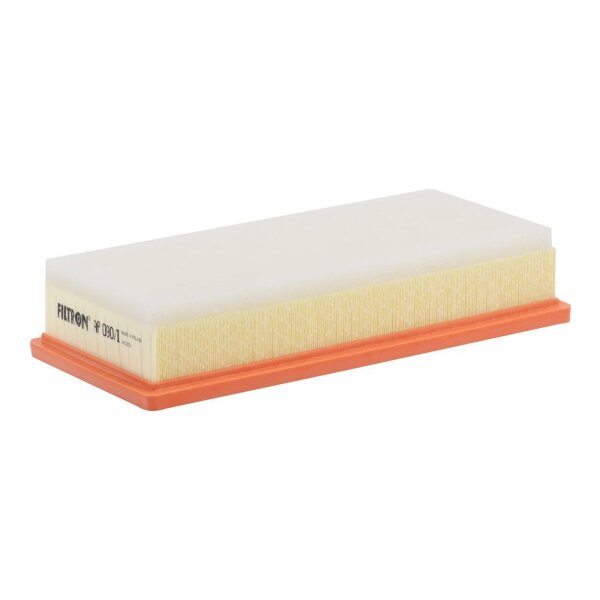 FILTRON AP 090/1 Luftfilter