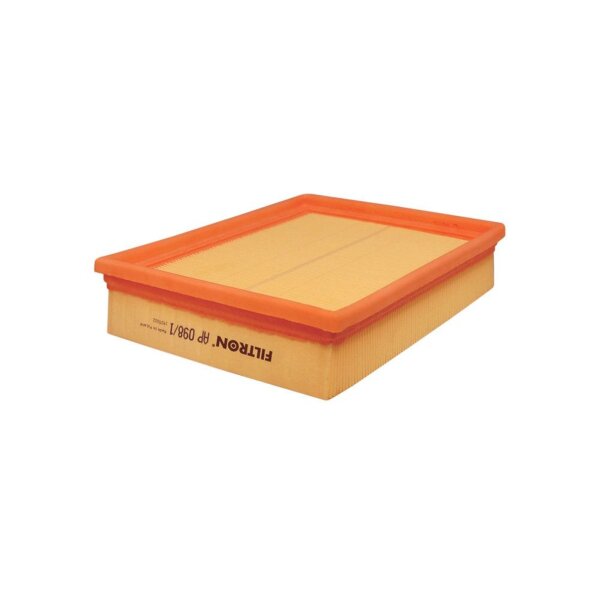 FILTRON AP 098/1 Luftfilter