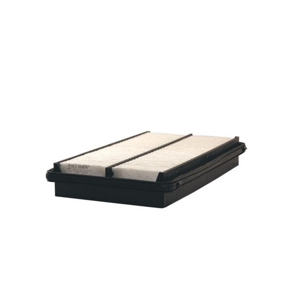 FILTRON AP 102/2 Luftfilter