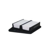 FILTRON AP 102/5 Luftfilter