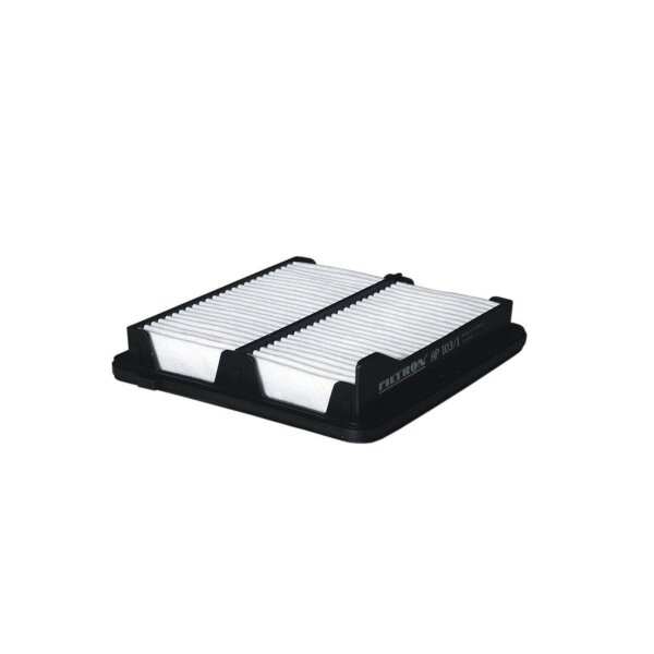 FILTRON AP 103/1 Luftfilter