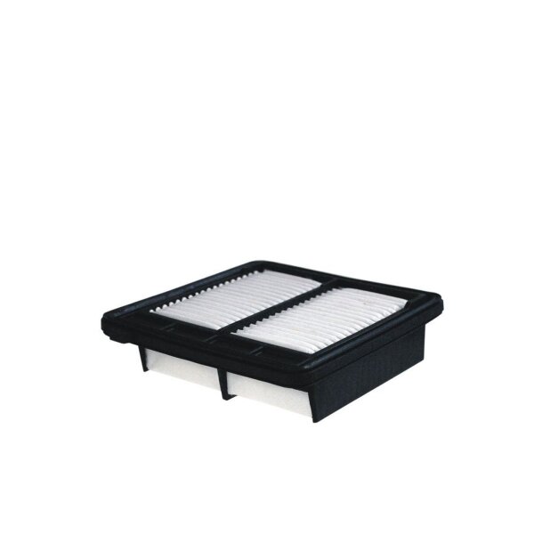 FILTRON AP 105/4 Luftfilter
