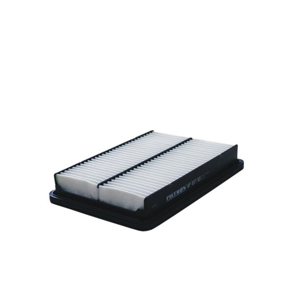 FILTRON AP 107/10 Luftfilter