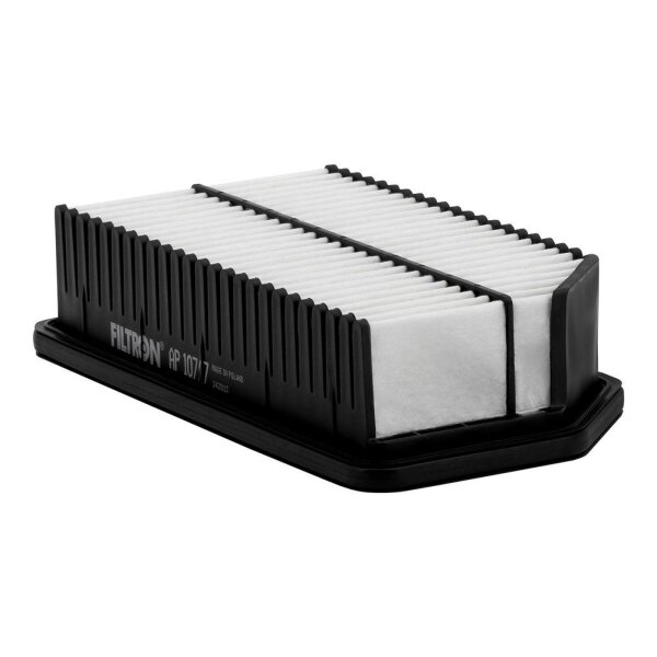 FILTRON AP 107/7 Luftfilter