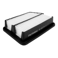 FILTRON AP 107/8 Luftfilter