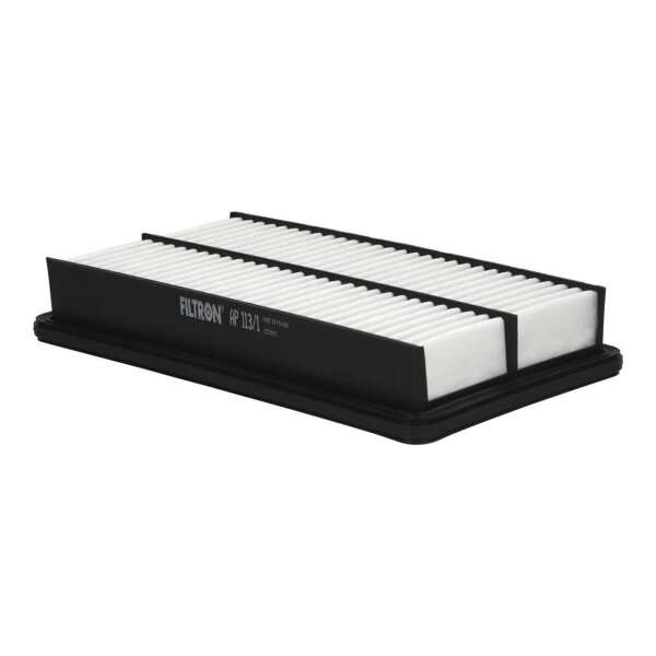 FILTRON AP 113/1 Luftfilter