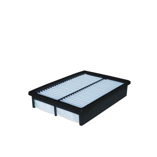 FILTRON AP 113/2 Luftfilter