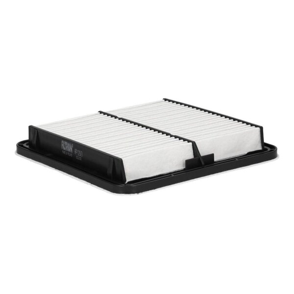 FILTRON AP 121/3 Luftfilter