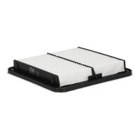 FILTRON AP 121/3 Luftfilter