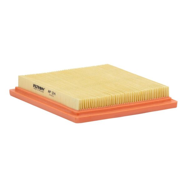 FILTRON AP 124 Luftfilter
