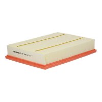 FILTRON AP 129/6 Luftfilter