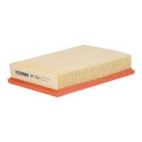 FILTRON AP 130/1 Luftfilter
