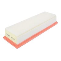 FILTRON AP 134/10 Luftfilter