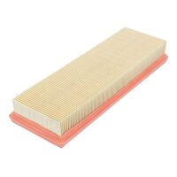 FILTRON AP 134/2 Luftfilter