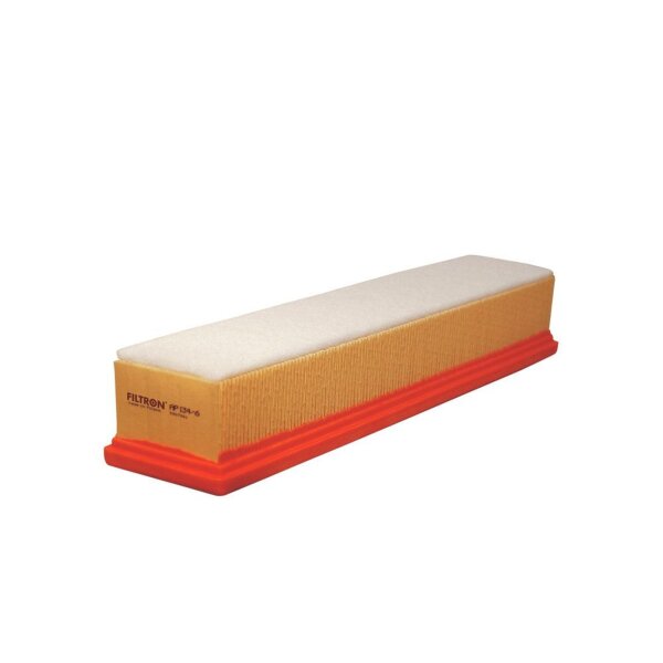 FILTRON AP 134/6 Luftfilter