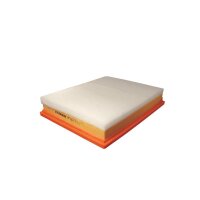 FILTRON AP 137/5 Luftfilter
