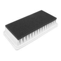 FILTRON AP 142/3 Luftfilter