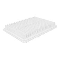 FILTRON AP 144/2 Luftfilter