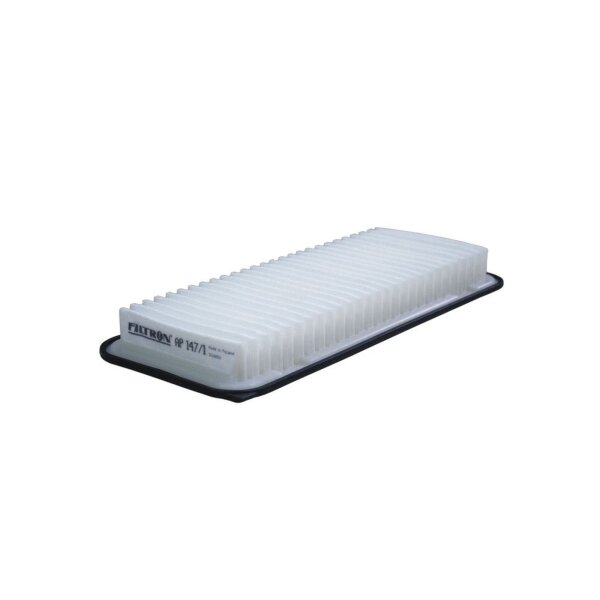 FILTRON AP 147/1 Luftfilter