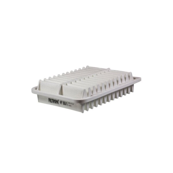 FILTRON AP 160/1 Luftfilter