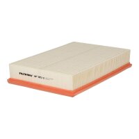 FILTRON AP 165/2 Luftfilter