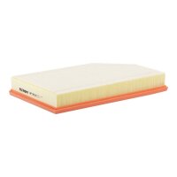 FILTRON AP 165/6 Luftfilter