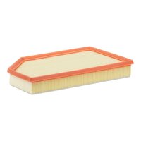 FILTRON AP 165/6 Luftfilter