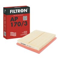 FILTRON AP 170/3 Luftfilter