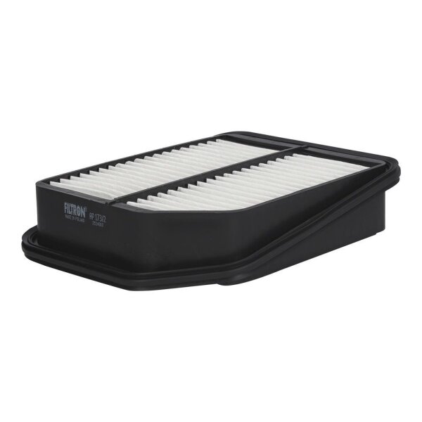 FILTRON AP 173/2 Luftfilter