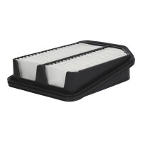 FILTRON AP 173/2 Luftfilter