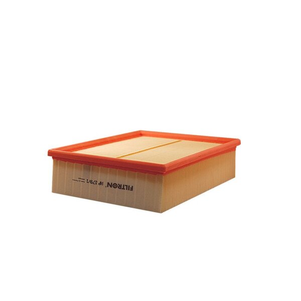 FILTRON AP 179/1 Luftfilter