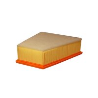 FILTRON AP 189/2 Luftfilter