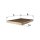 FILTRON K 1168A Filter, Innenraumluft
